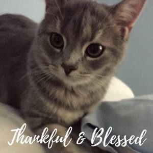 Meet your Posher, Sherri